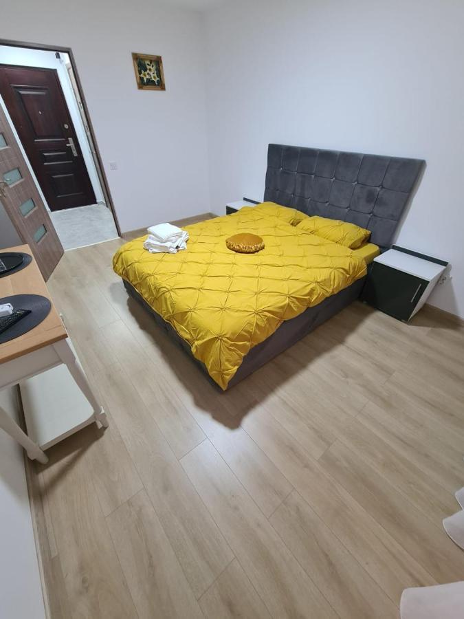 Garsoniera Luxury Kevin Apartment ปีเตช ภายนอก รูปภาพ